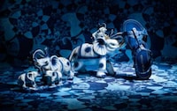 Strange Still-Life Snapshots Image 2