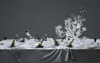 Strange Still-Life Snapshots Image 7