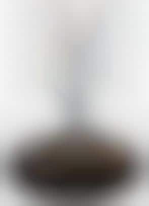 Invisible Earphones