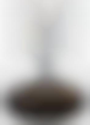 Invisible Earphones