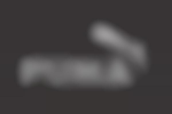 Typeface-Challenged Company Emblems