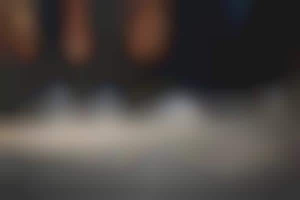 Vegan Fair Trade Ventures