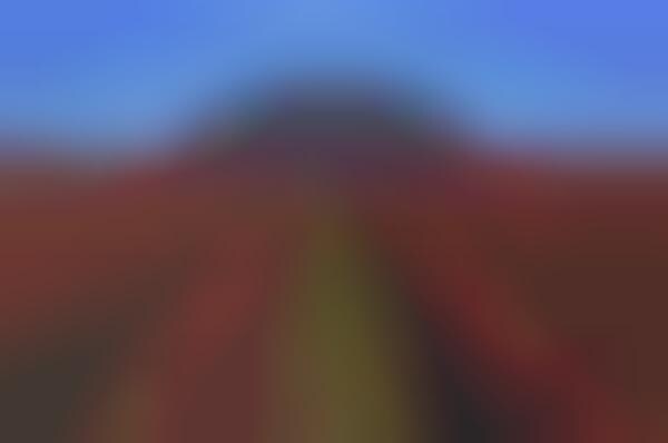 Tortoise Shell Domes