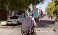 Dog-Holding Backpacks Image 6