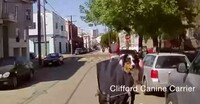 Dog-Holding Backpacks Image 7