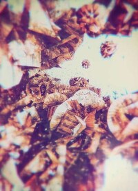 Shattered Glass Photography Image 2