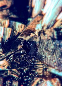 Shattered Glass Photography Image 6