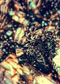 Shattered Glass Photography Image 8