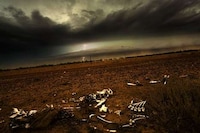 Storm-Chasing Photographers Image 8