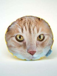 Personalized Visage Cushions (UPDATE) Image 3