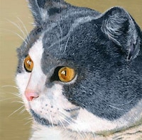 Feline Royalty Renderings Image 8