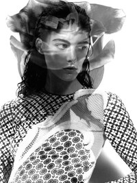 Superimposed Floral Shoots Image 4