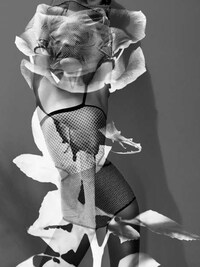 Superimposed Floral Shoots Image 5