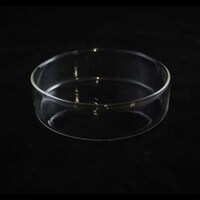 Glass Plant Pods Image 2