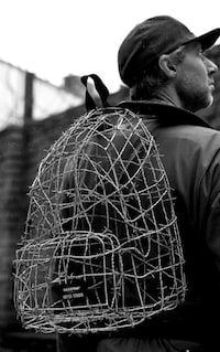 Metallic-Caged Sacks Image 2