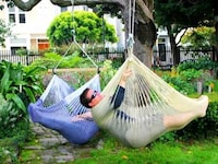 Culture-Sustaining Hammocks Image 2