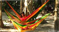 Culture-Sustaining Hammocks Image 3