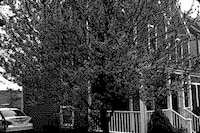 Low-Fi Picture Apps Image 8