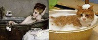 Feline Portrait Imitations