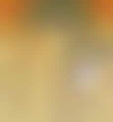 Lazy Activism Statistics : rise of the slacktivist infographic