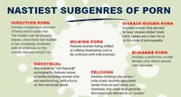 Jaw-Dropping Adult Film Stats Image 5