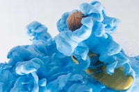 Ink-Surfing Toy Captures Image 5