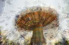 Ghostly Carousel Photography