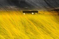 Blurred Landscape Photography Image 3