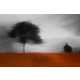 Blurred Landscape Photography Image 5