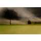 Blurred Landscape Photography Image 7