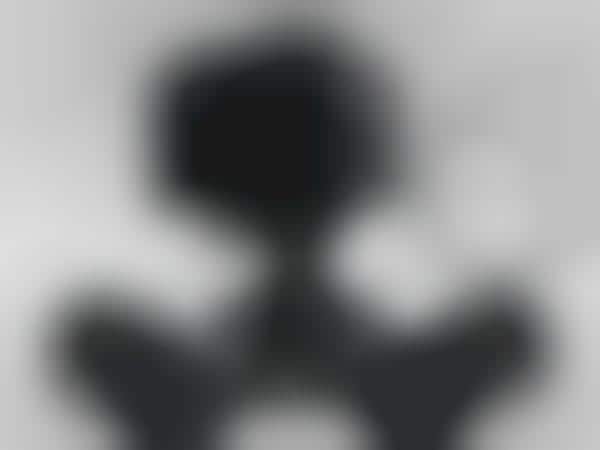 Holistic Cinematic Devices