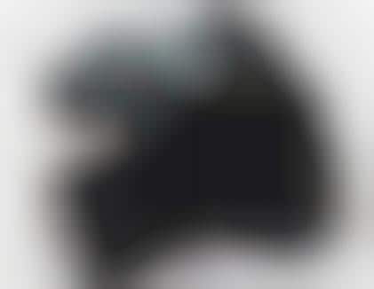 DSLR-Smartphone Hybrids