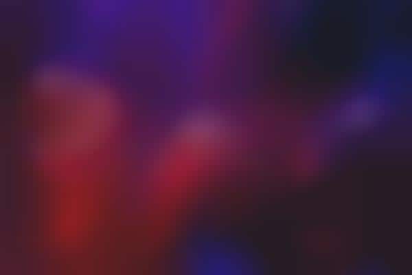 Vibrantly Visceral Festival Shoots