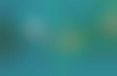 Ebonics Timeline Graphs