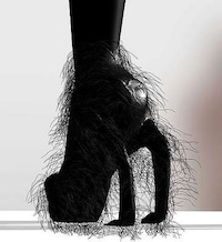 Virtual Shoe Museum Image 3