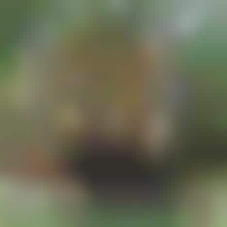 Backyard Getaway Globe