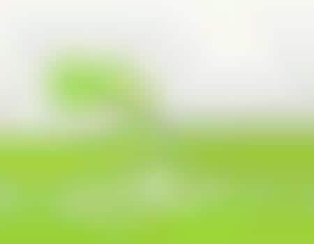 Green & Charitable Birthdays