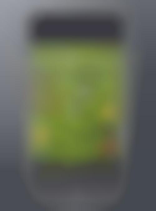 iPhone Got Game + Application SDK