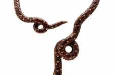 Chocolate Luxury Snake