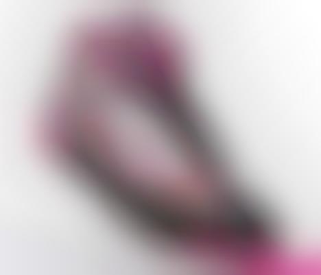 Female Shoe Algorithm