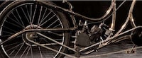 Bicycles as Art Image 5