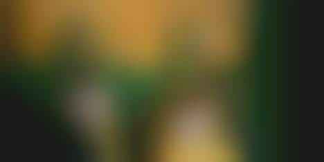 Banning Controversial Ads