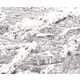 Invasive Urban Captures Image 3