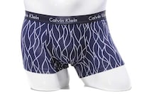3D Underwear Image 5
