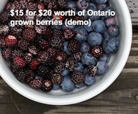 Rights-Based Organic Food Image 2