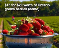 Rights-Based Organic Food Image 3