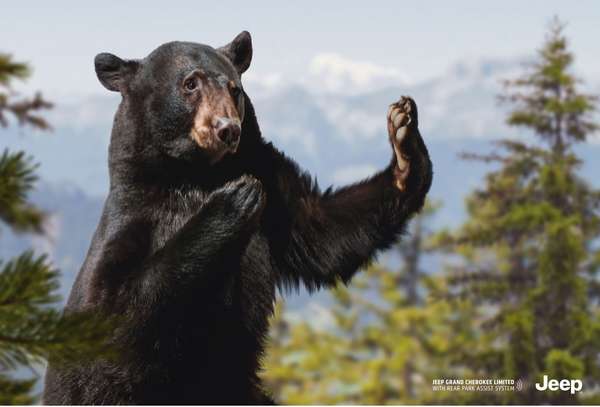 Animal-Assisted Auto Ads