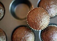 Expressive Animal Confections Image 3