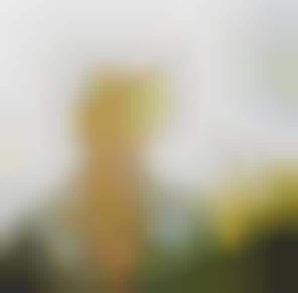 Scenic Seethrough Women