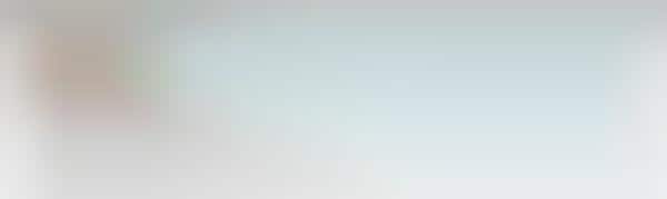 Substantial School Loan Charts